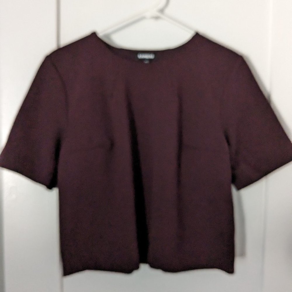 Burgundy Boxy Express Crop Top - new with tags!